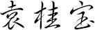 袁桂宝